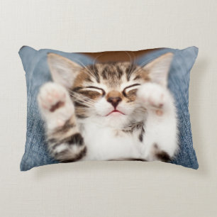 Kitten On My Lap Decorative Cushion