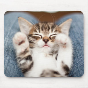 Kitten On My Lap Mouse Pad