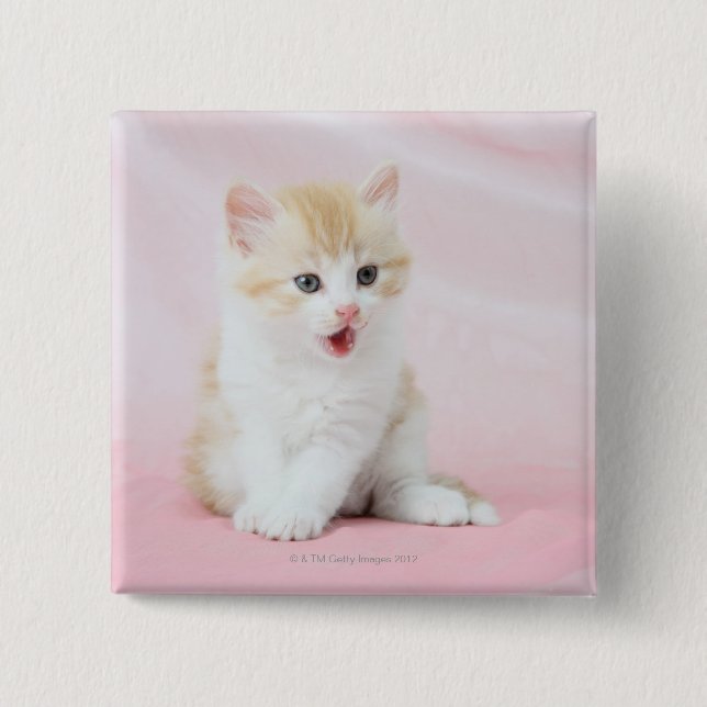 Kitten on Pink Background 15 Cm Square Badge (Front)