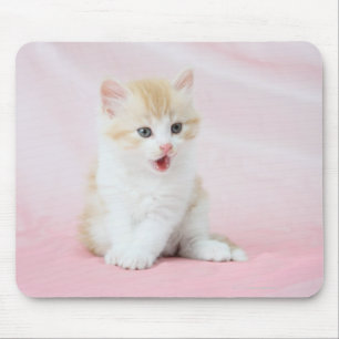 Kitten on Pink Background Mouse Pad