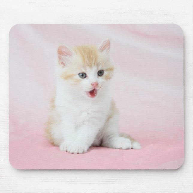 Kitten on Pink Background Mouse Pad (Front)
