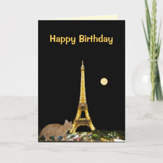 Kitten on the Prowl in the Paris Night Card