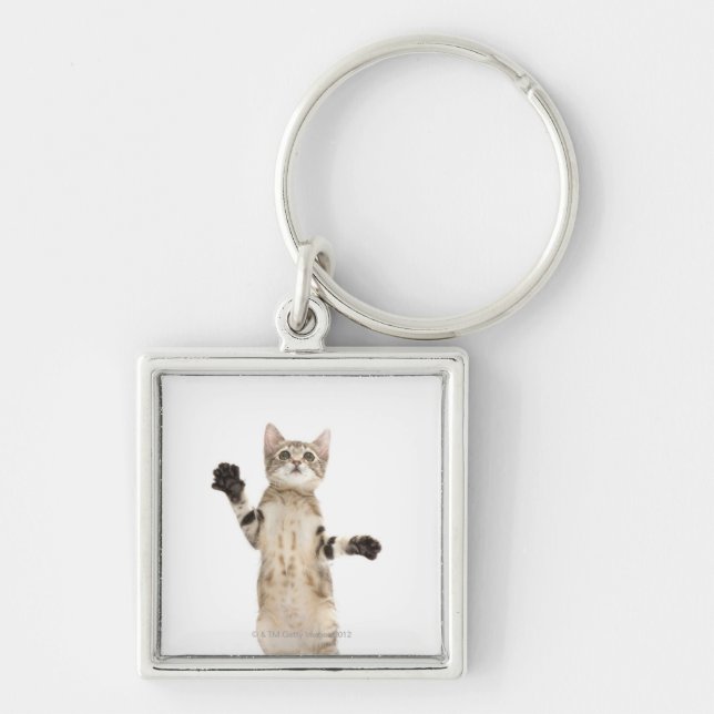 Kitten on white background key ring (Front)