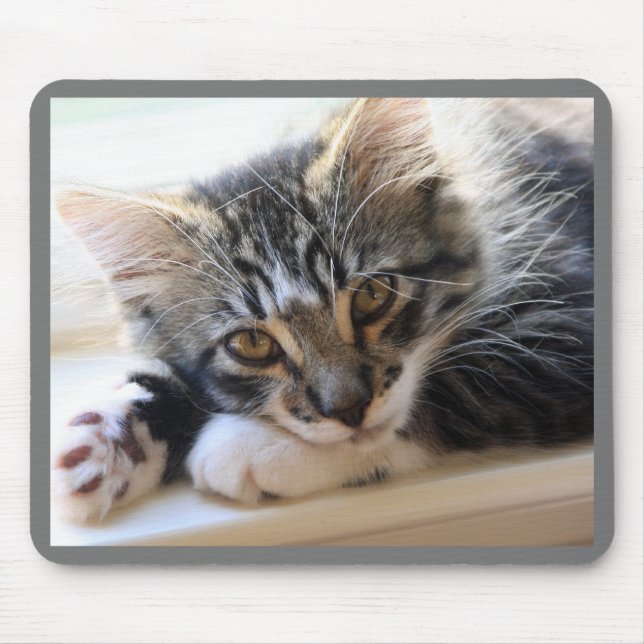 Kitten on Windowsill Mouse Pad (Front)