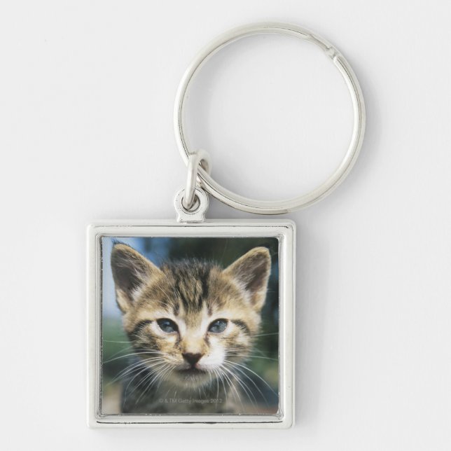 Kitten outdoors key ring (Front)