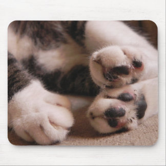 Kitten Paws Mouse Pad