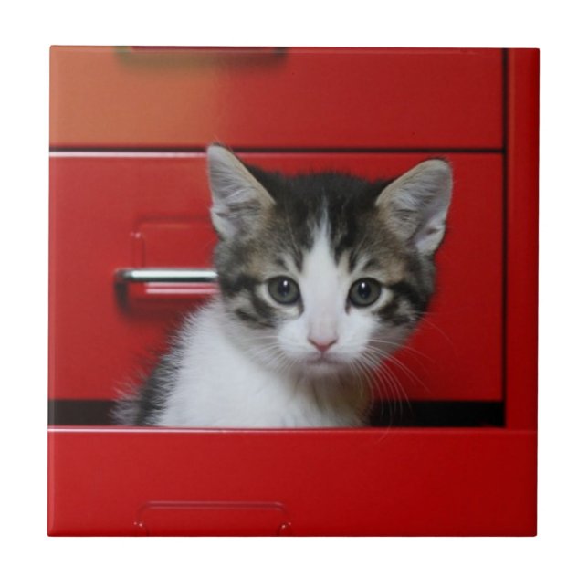 Kitten Peeking Ceramic Tile (Front)