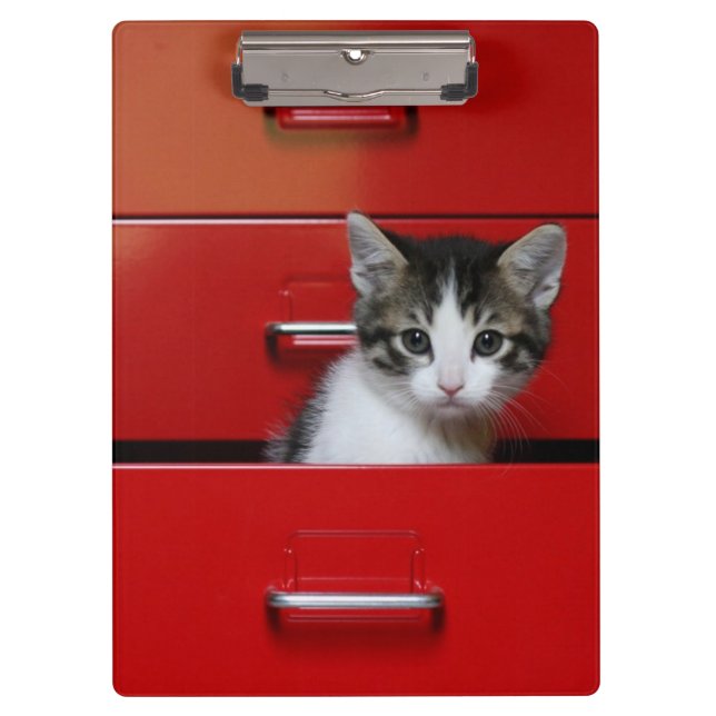Kitten Peeking Clipboard (Front)