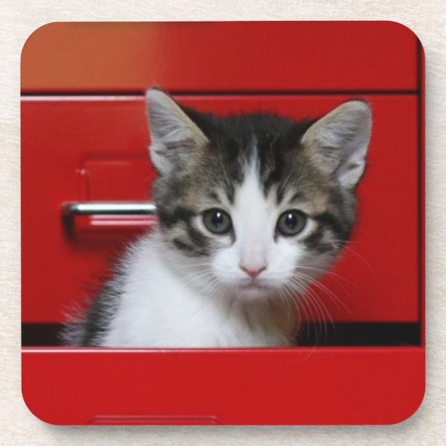 Kitten Peeking Coaster (Front)