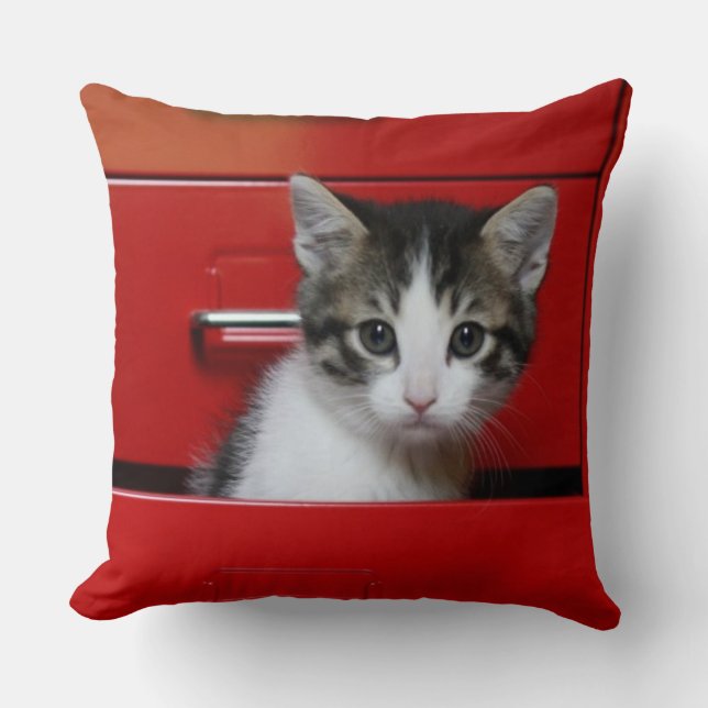 Kitten Peeking Cushion (Front)