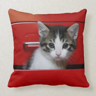Kitten Peeking Cushion