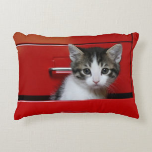 Kitten Peeking Decorative Cushion