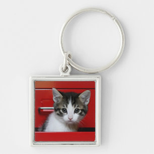 Kitten Peeking Key Ring