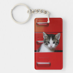 Kitten Peeking Key Ring