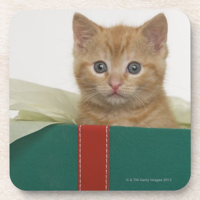 Kitten peeking out of gift box coaster (Front)