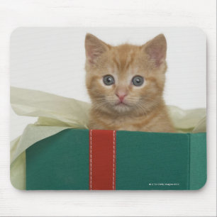Kitten peeking out of gift box mouse pad