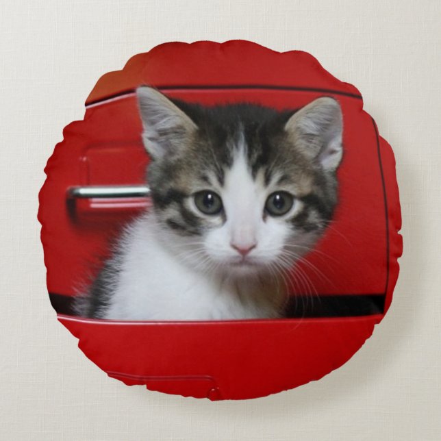 Kitten Peeking Round Cushion (Front)