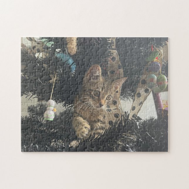 Kitten Photo Animal Pet Cat Jigsaw Puzzle (Horizontal)