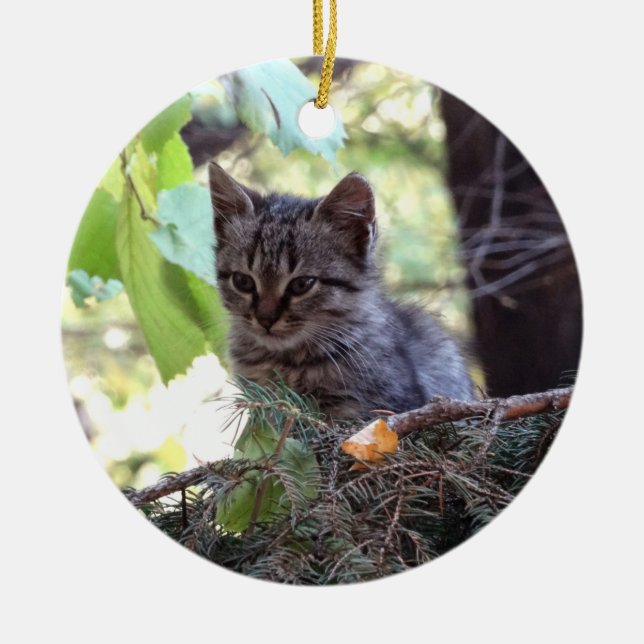 Kitten Photo Baby Cat Circle Ornament (Front)