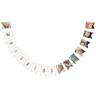 Kitten Photo  Bunting