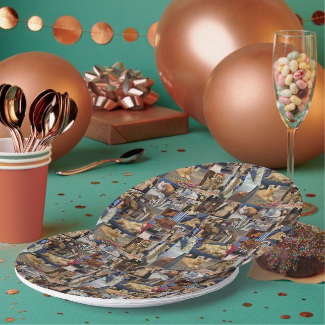 Kitten Photo Collage, Paper Plates (Multi)