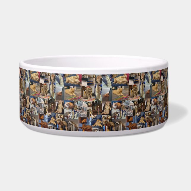 Kitten Photo Collage, Pet Bowl (Front)