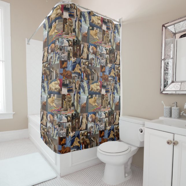 Kitten Photo Collage, Shower Curtain (In Situ)