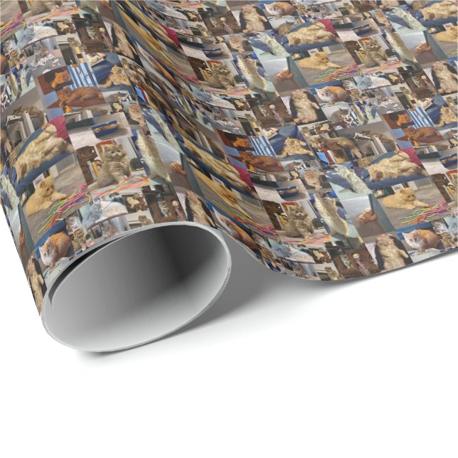 Kitten Photo Collage, Wrapping Paper (Roll Corner)
