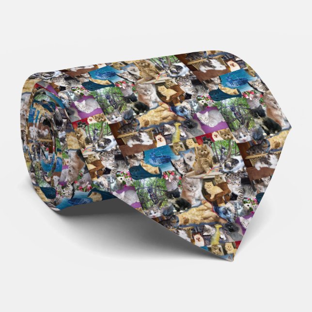 Kitten Photo Collarge, Tie (Rolled)