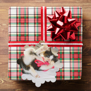 Kitten Photo Text , GiftTag, Snowflake, Customise, Tree Decoration Card