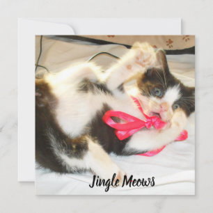 Kitten Photo Text Jingle Meows, Customise,  Holiday Card