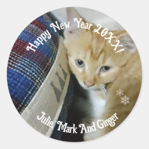 Kitten Photo Text Name, Replace, Classic Round Sticker