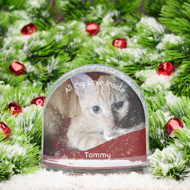 Kitten Photo Text Name,  Replace, Front And Back  Snowglobe (Christmas)