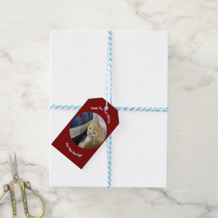 Kitten Photo Text Name, Replace, Gift Tags