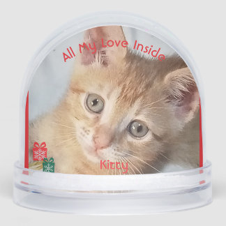 Kitten Photo Text , Replace, Front And Back  Snowglobe