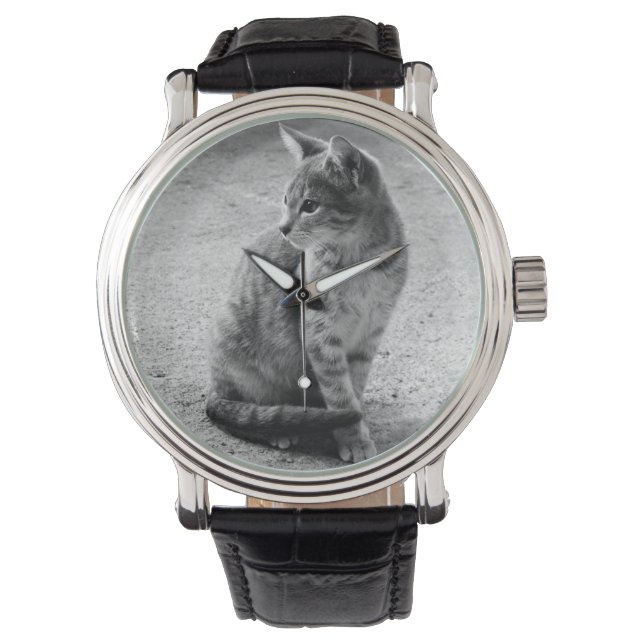Kitten Photo Watch (Front)