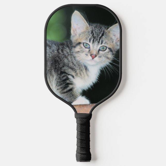 Kitten  pickleball paddle (Front)