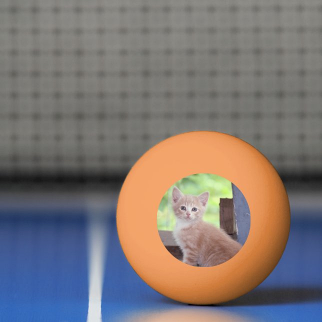 Kitten Ping Pong Ball (Net)