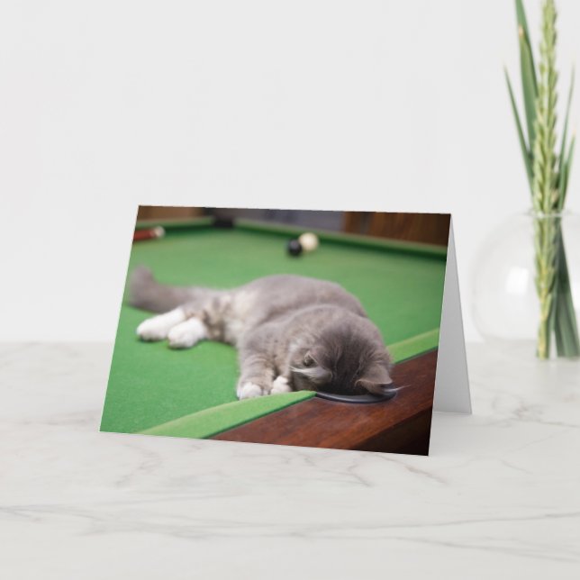 Kitten Playing Pool Card (Front)