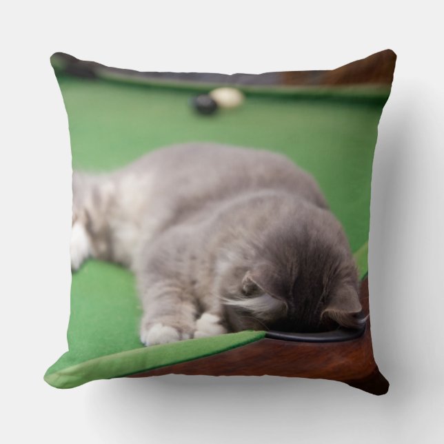 Kitten Playing Pool Cushion (Front)