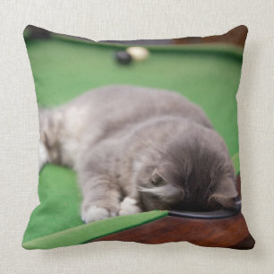 Kitten Playing Pool Cushion
