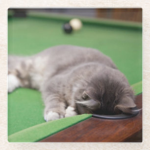 Kitten Playing Pool Glass Coaster