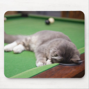 Kitten Playing Pool Mouse Pad