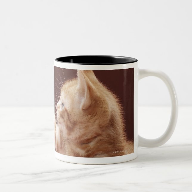 Kitten Playing with Ornament Two-Tone Coffee Mug (Right)
