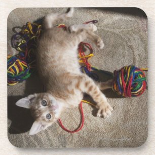 Kitten Playing With Yarn Coaster