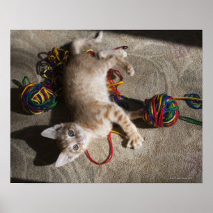 Kitten Playing With Yarn Poster