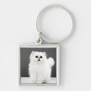 Kitten Portrait Key Ring