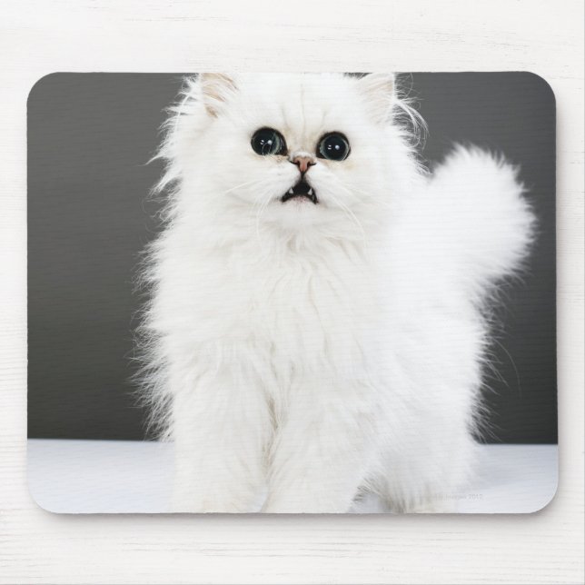 Kitten Portrait Mouse Pad (Front)