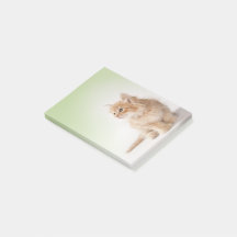 Kitten Post-It Note