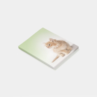 Kitten Post-It Note